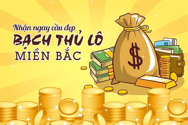 Soi bạch thủ lô miền Bắc