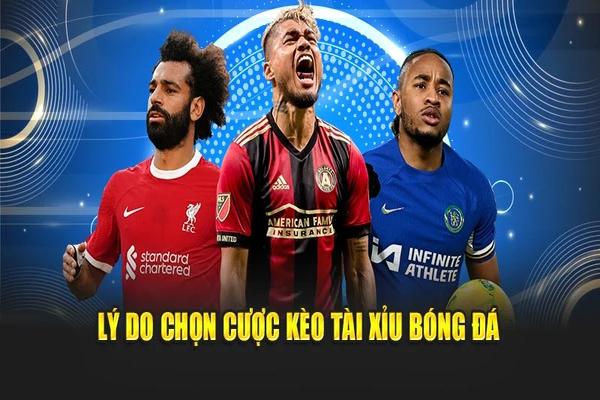 Các cấp độ săn cá nổi bật trong game