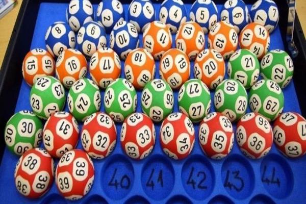 Ý nghĩa khi mơ thấy loài cóc vàng xuất hiện